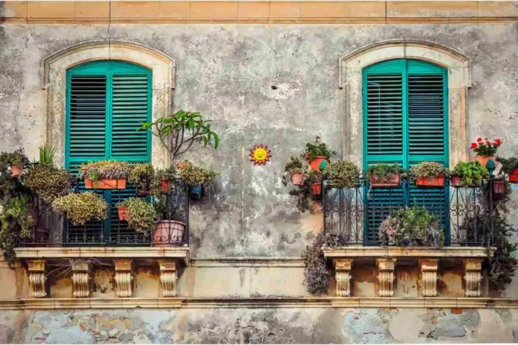 Come coltivare il timo in balcone Come coltivare il timo in balcone