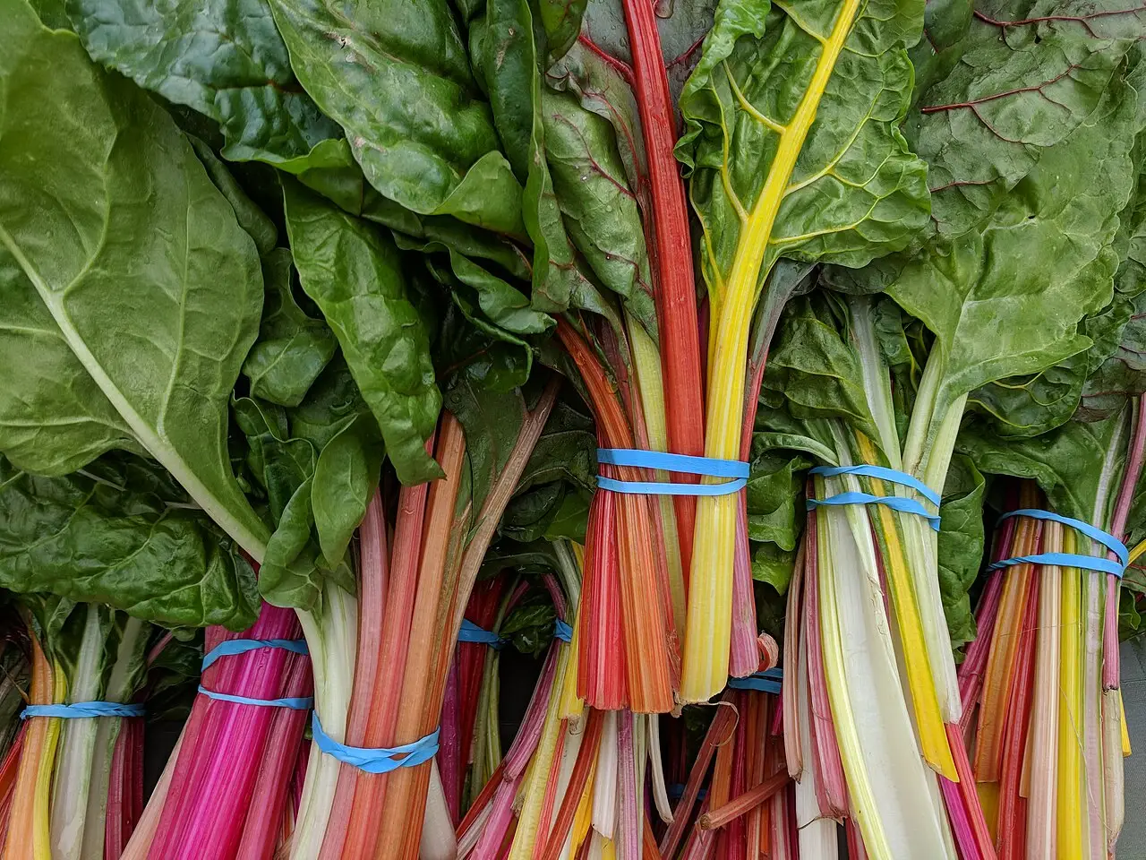 Hai il rabarbaro in giardino? In primavera c’è una regola d’oro da seguire Immagine selezionata