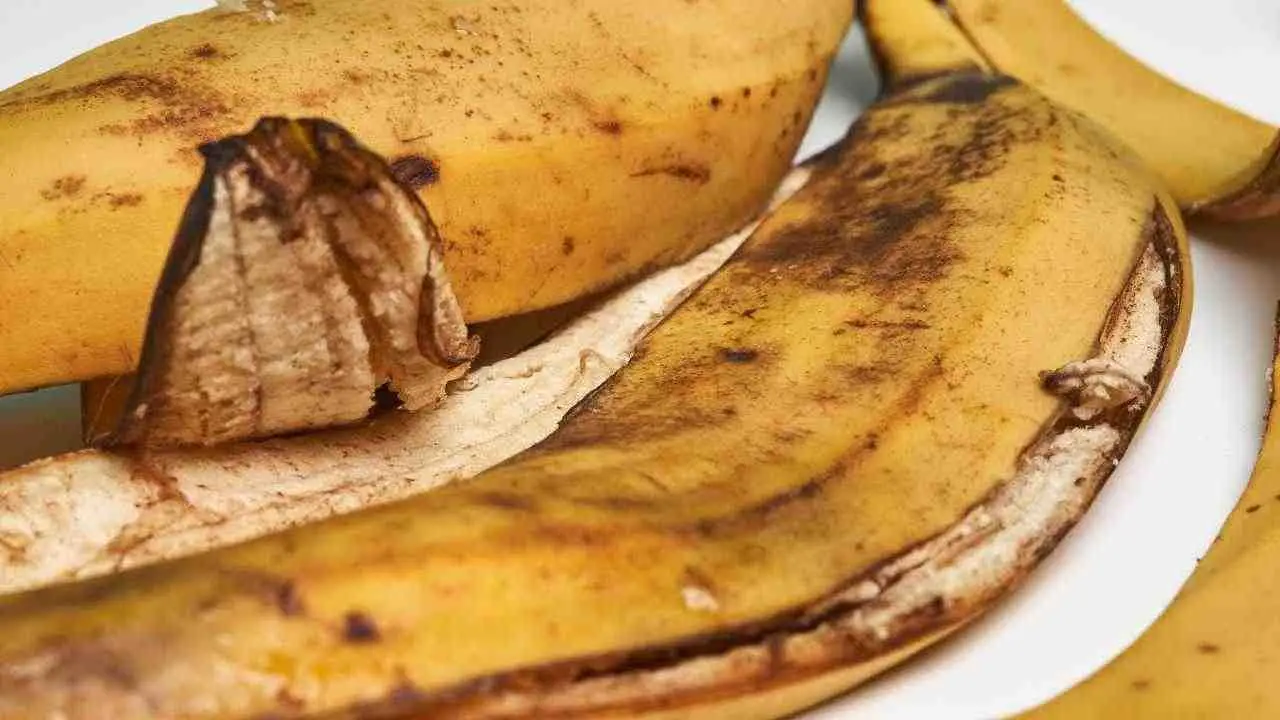 Come le bucce di banana in giardino possono far rinascere le tue piante