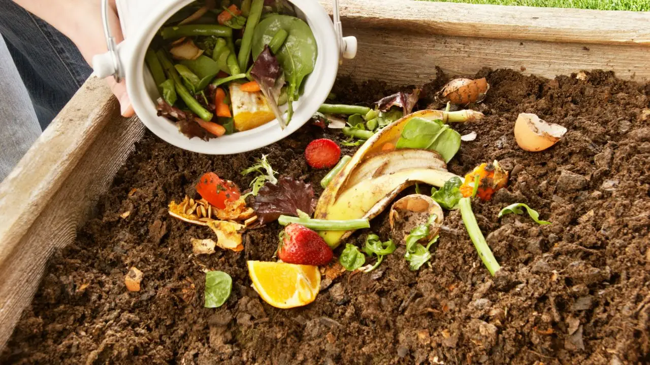 Come le bucce di banana in giardino possono far rinascere le tue piante Immagine selezionata
