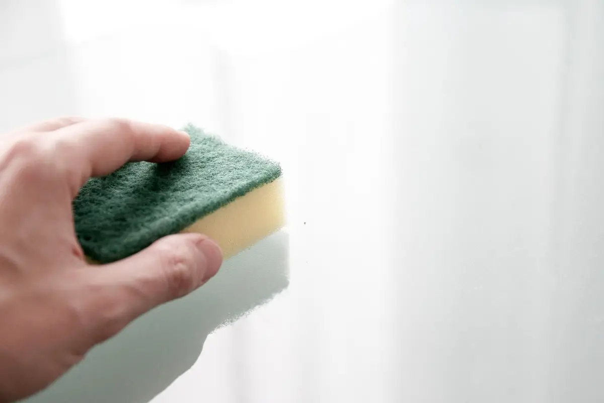 I metodi più efficaci per disinfettare le spugne da cucina Immagine selezionata