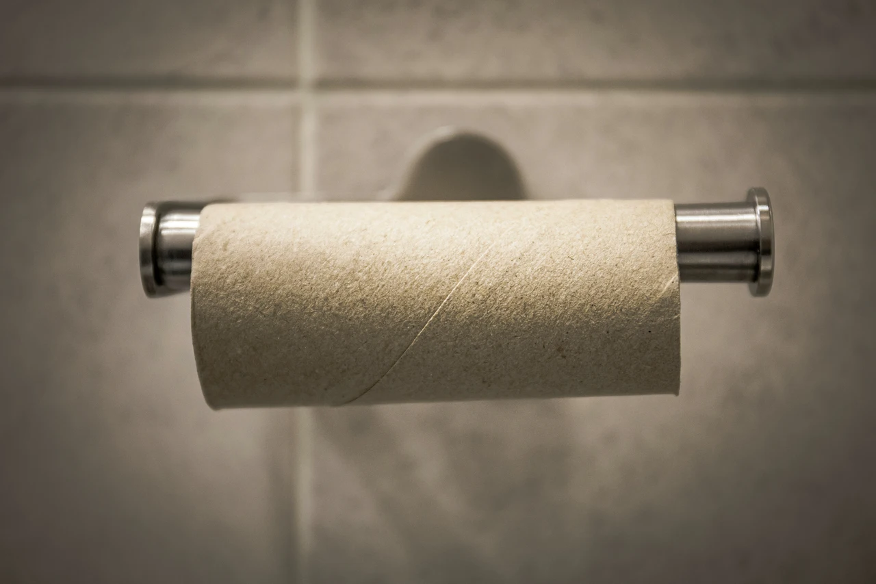 Rotoli di carta igienica vuoti non buttarli possono trasformarsi in un piccolo tesoro domestico Rotoli di carta igienica vuoti non buttarli possono trasformarsi in un piccolo tesoro domestico