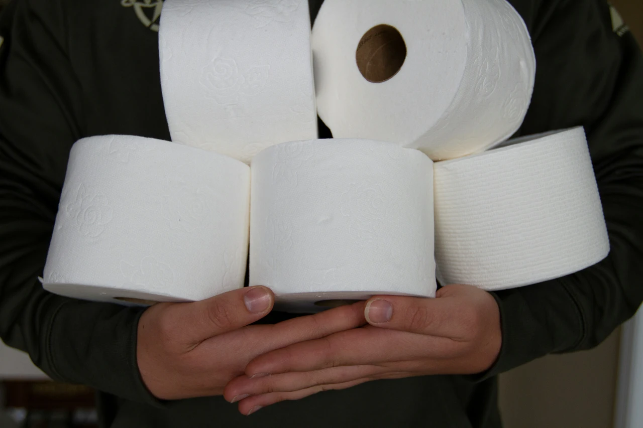 Rotoli di carta igienica vuoti non buttarli possono trasformarsi in un piccolo tesoro domestico Immagine selezionata
