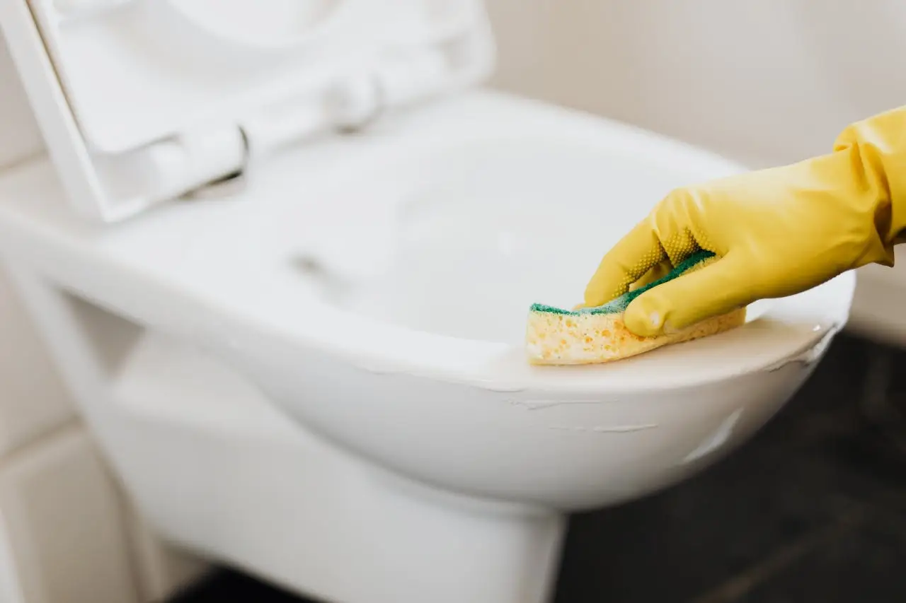 Metodi alternativi per igienizzare il WC senza ricorrere alla candeggina Metodi alternativi per igienizzare il WC senza ricorrere alla candeggina