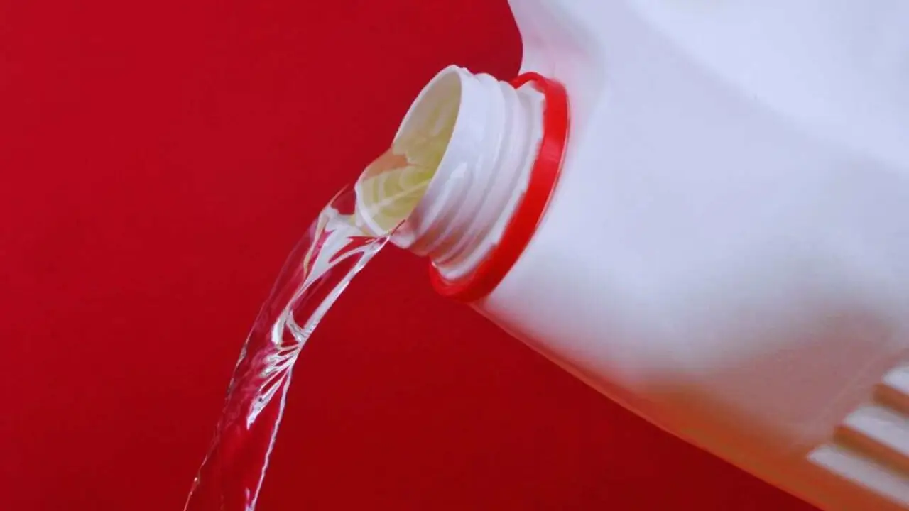 Metodi alternativi per igienizzare il WC senza ricorrere alla candeggina Metodi alternativi per igienizzare il WC senza ricorrere alla candeggina