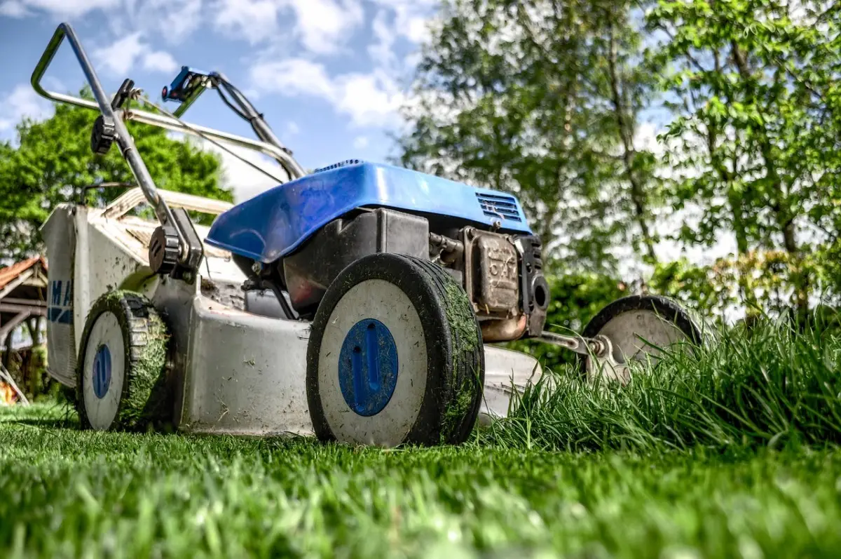 Il lavoro primaverile in giardino che danneggia l’ambiente più dell’auto lo fanno in molti Il lavoro primaverile in giardino che danneggia l’ambiente più dell’auto lo fanno in molti