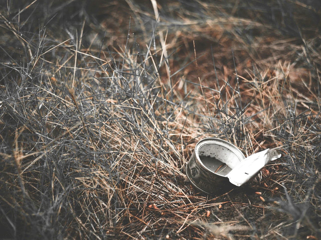Il lavoro primaverile in giardino che danneggia l’ambiente più dell’auto lo fanno in molti Il lavoro primaverile in giardino che danneggia l’ambiente più dell’auto lo fanno in molti