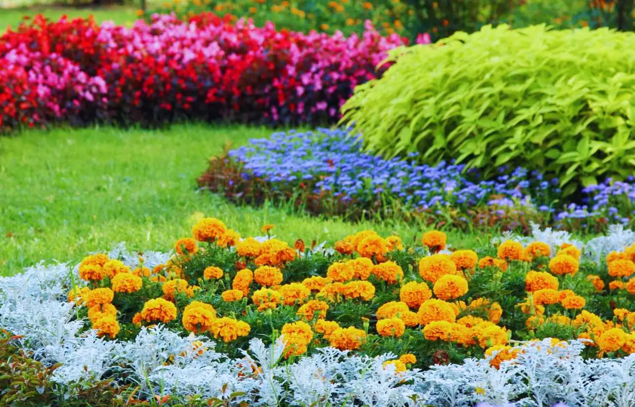 Il lavoro primaverile in giardino che danneggia l’ambiente più dell’auto lo fanno in molti Il lavoro primaverile in giardino che danneggia l’ambiente più dell’auto lo fanno in molti