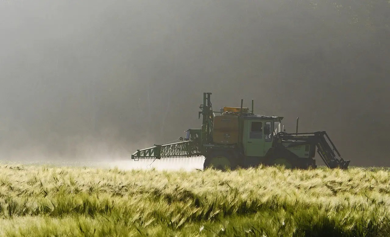 Semi antichi in Italia: perché stanno tornando sulle nostre tavole Semi antichi in Italia: perché stanno tornando sulle nostre tavole