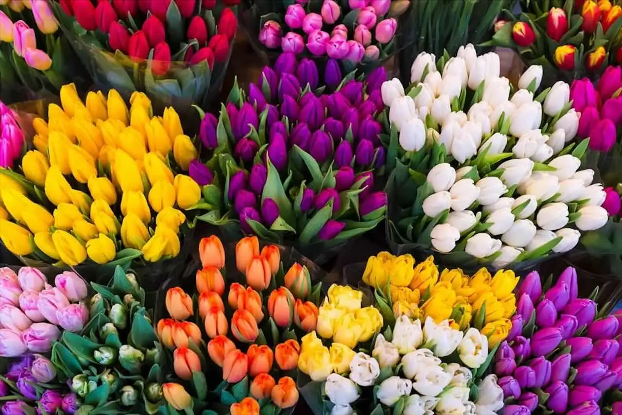 Il segreto per far durare i fiori di campo più a lungo in vaso Il segreto per far durare i fiori di campo più a lungo in vaso